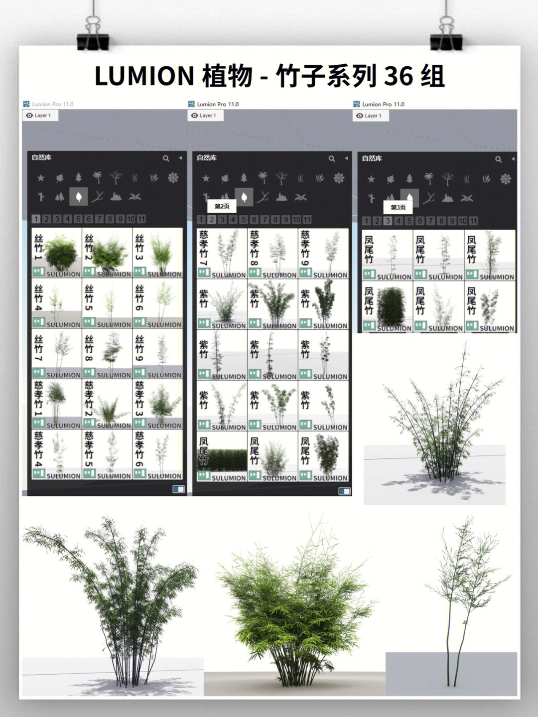 lumion植物汉化中文版竹子系列36组