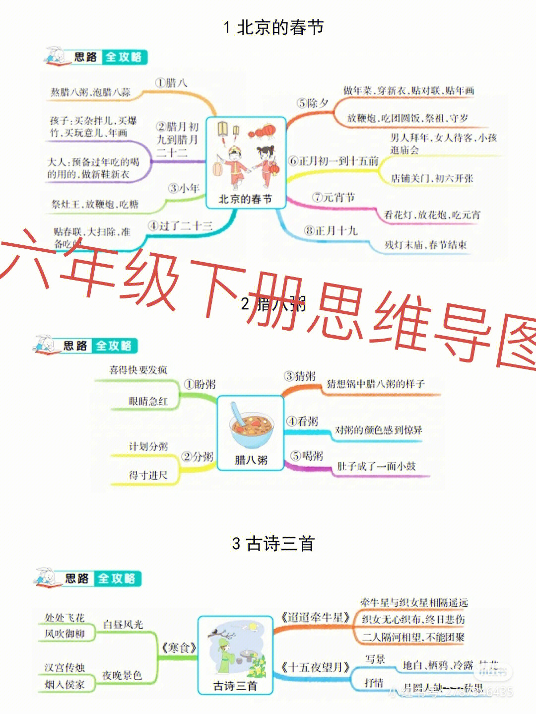 思维导图#小学语文#六年级#下册#面试技巧#考编#薯队长