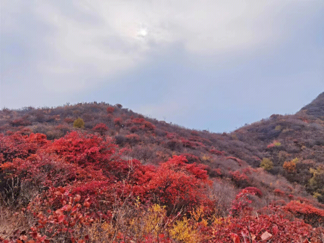 积石山秋景图片