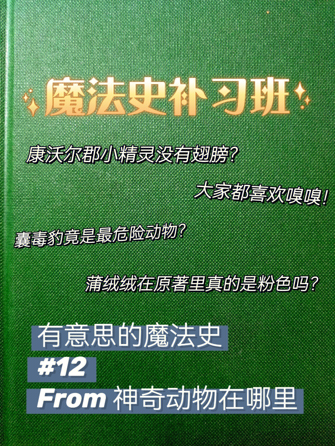 康沃尔郡小精灵念咒图片