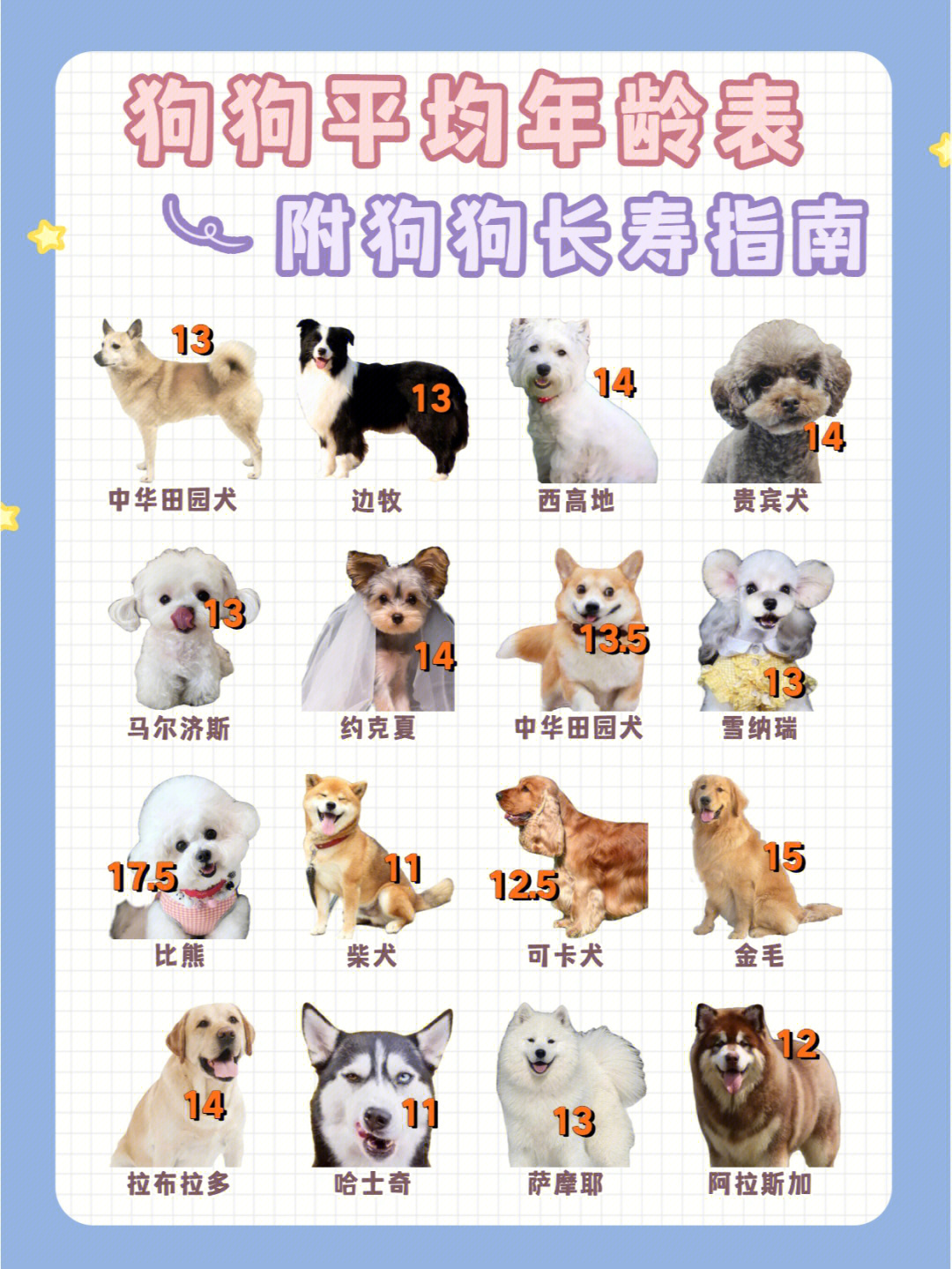 俊介犬寿命图片