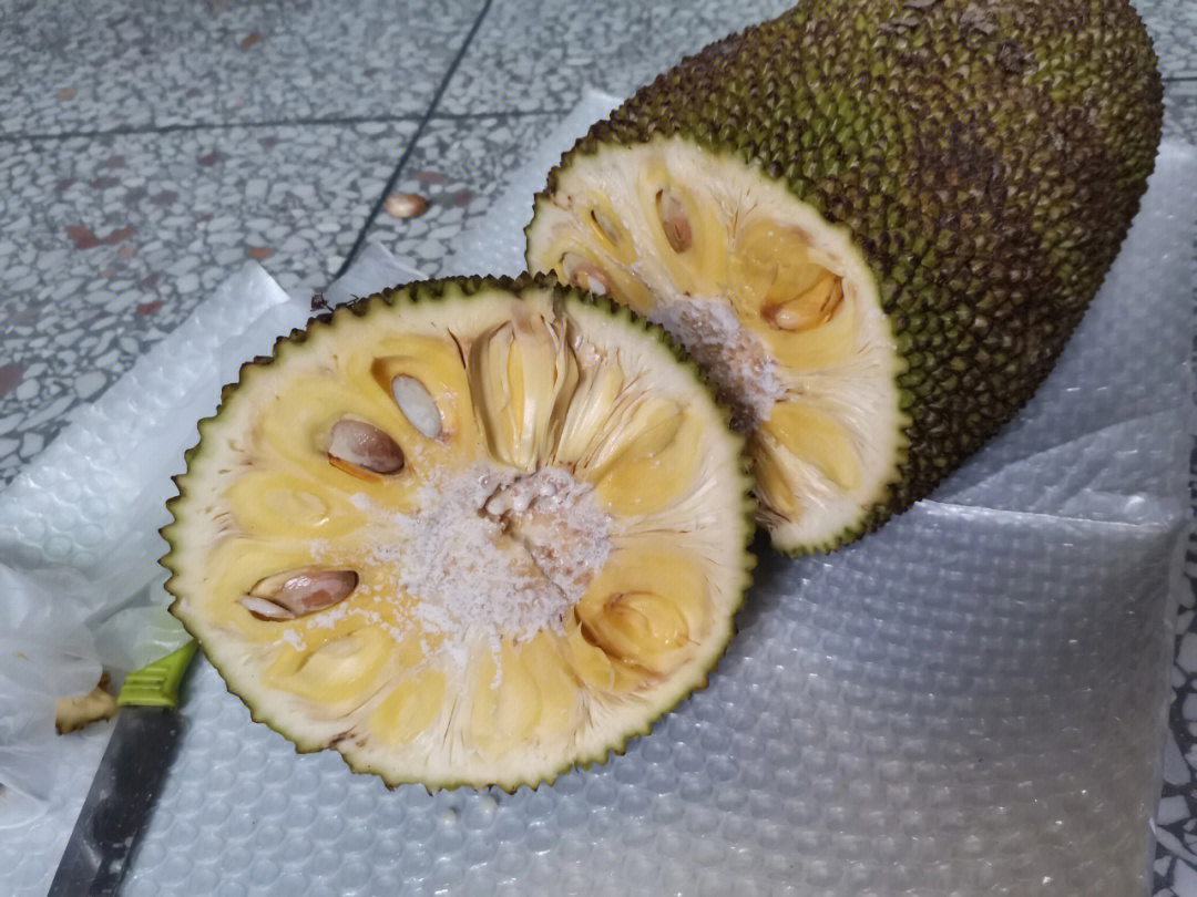 菠萝蜜成熟的外壳图片图片