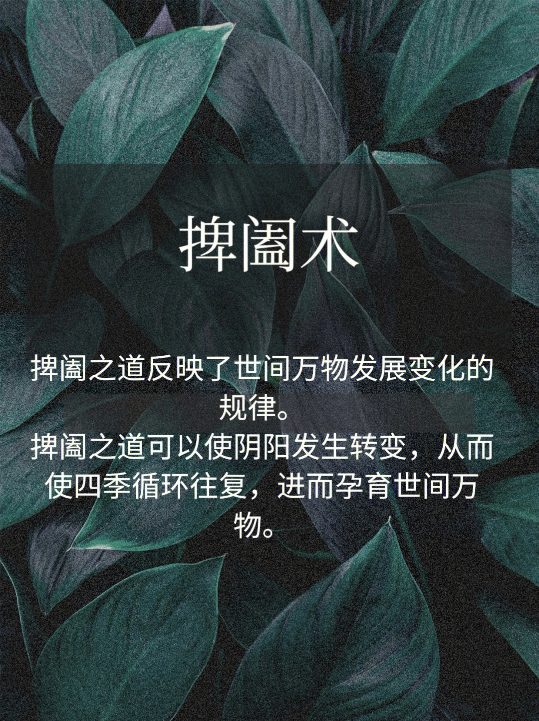 鬼谷子捭阖术