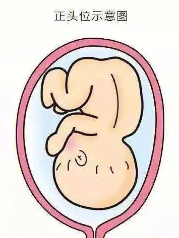 甲低婴儿肚子图片图片