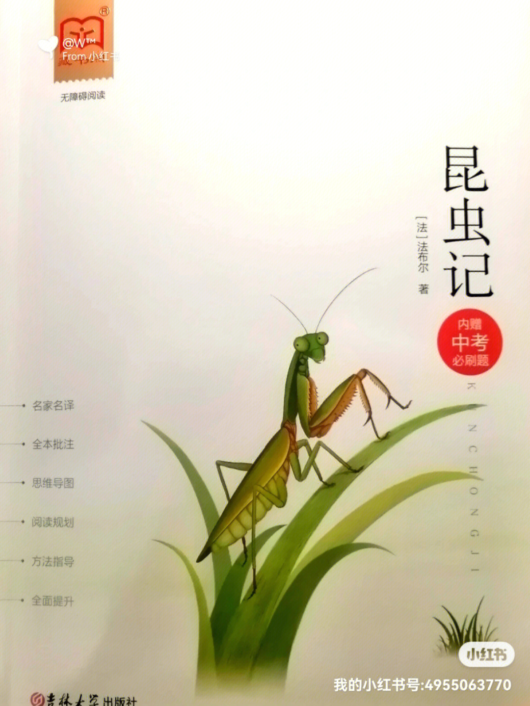 昆虫记大孔雀蝶概括图片