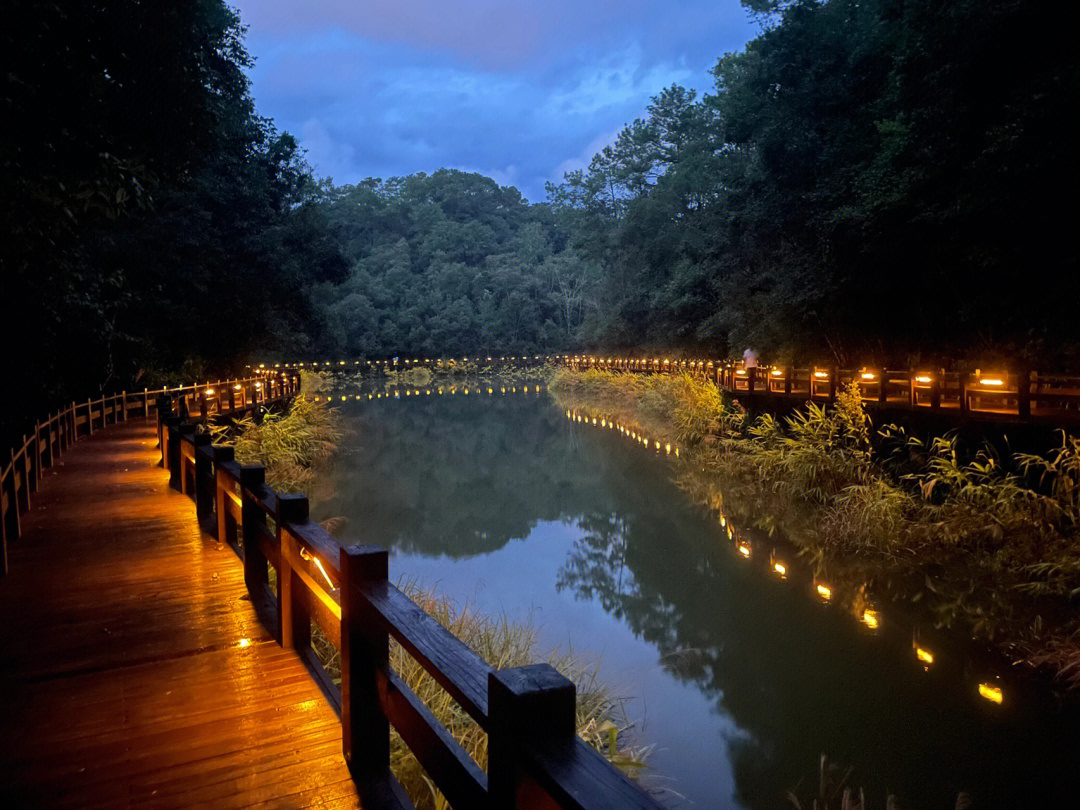 梅子湖栈道的夜景也别有一番风味