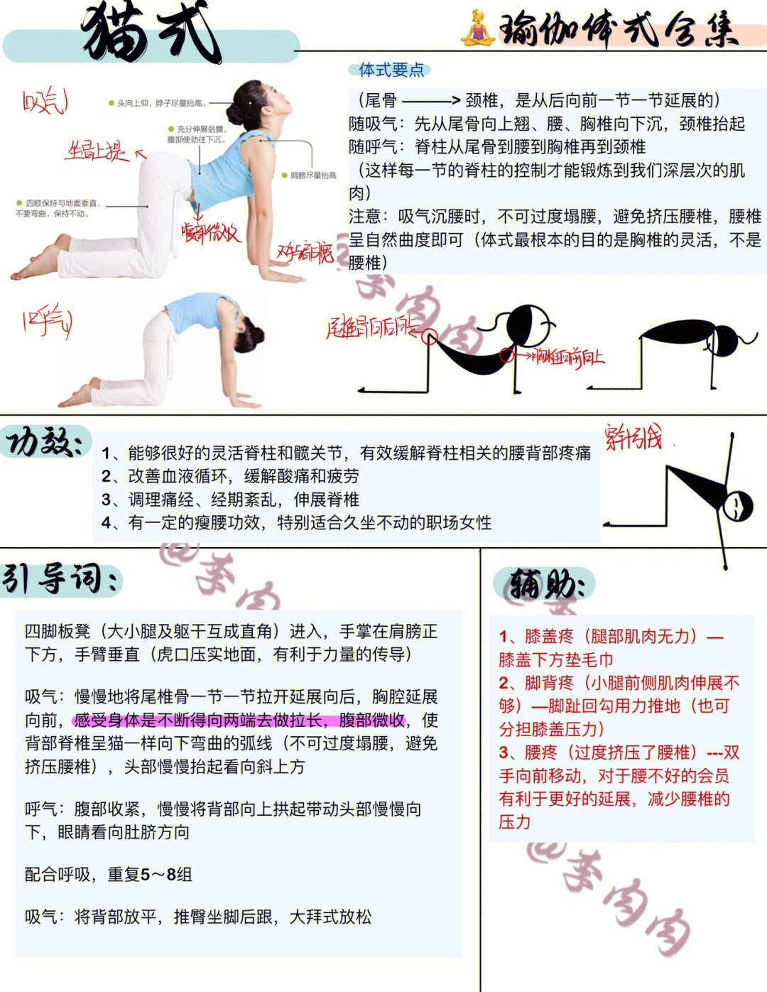 瑜伽猫式动作要领图解图片