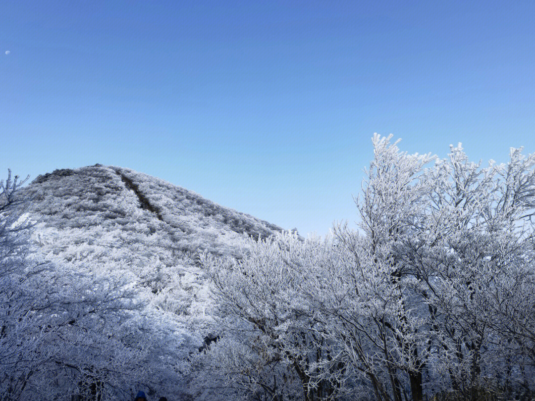 绝美雾凇龙王山