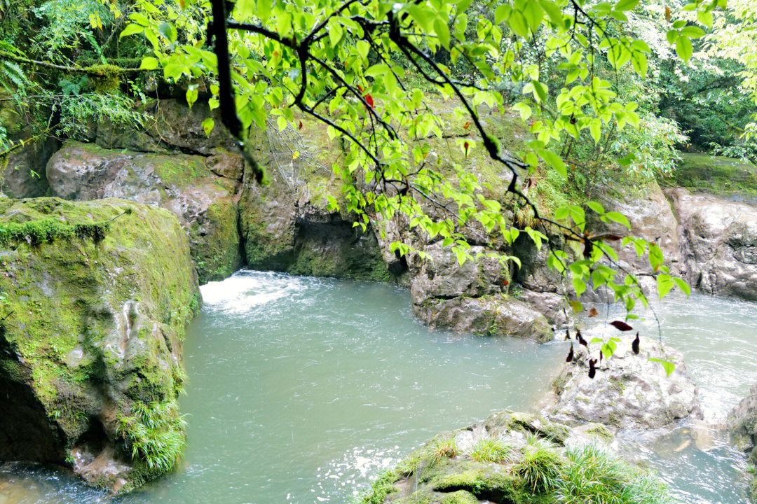 雅安龙苍沟森林公园