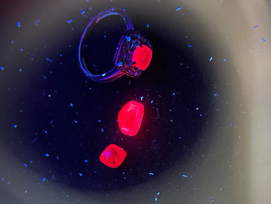 紫光灯照红宝石图片图片
