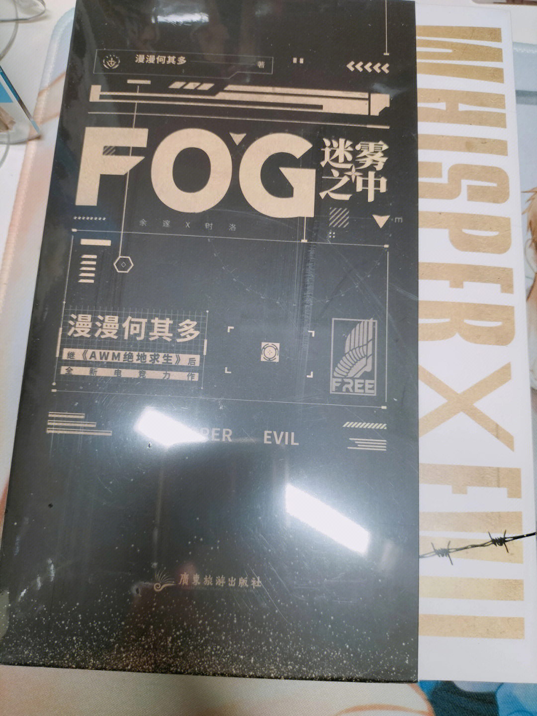 fog迷雾之中