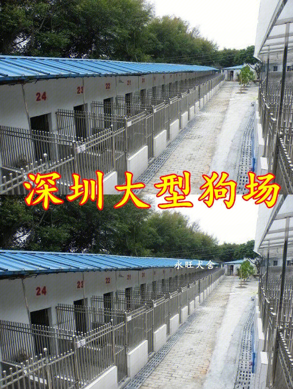 泰安养狗基地图片