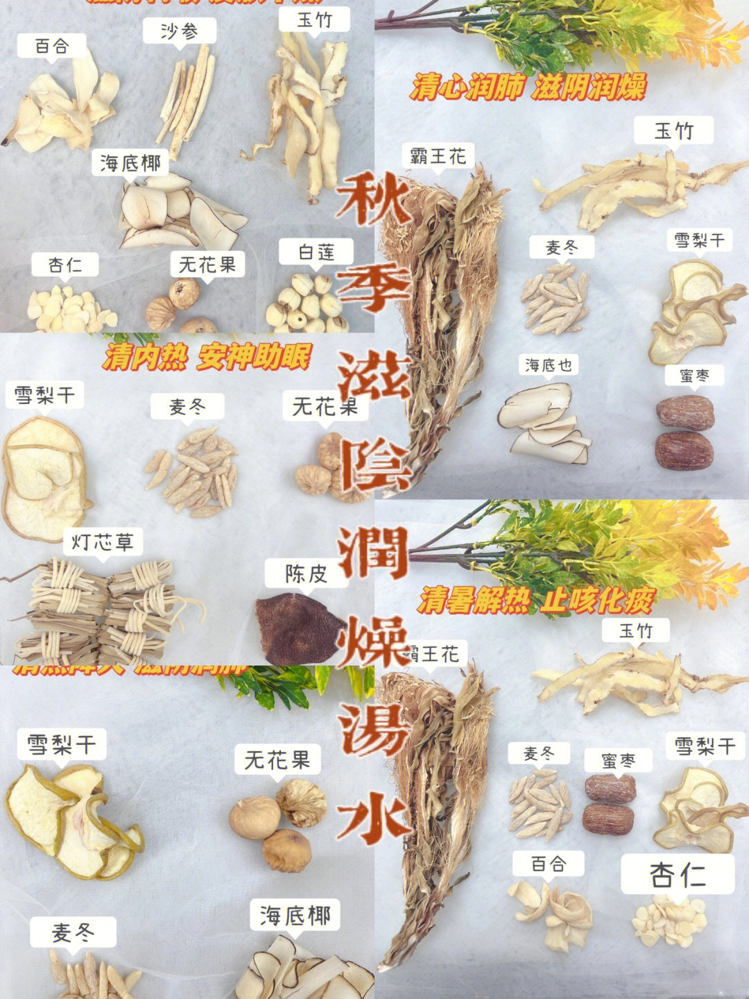 煲汤药材大全名称图片