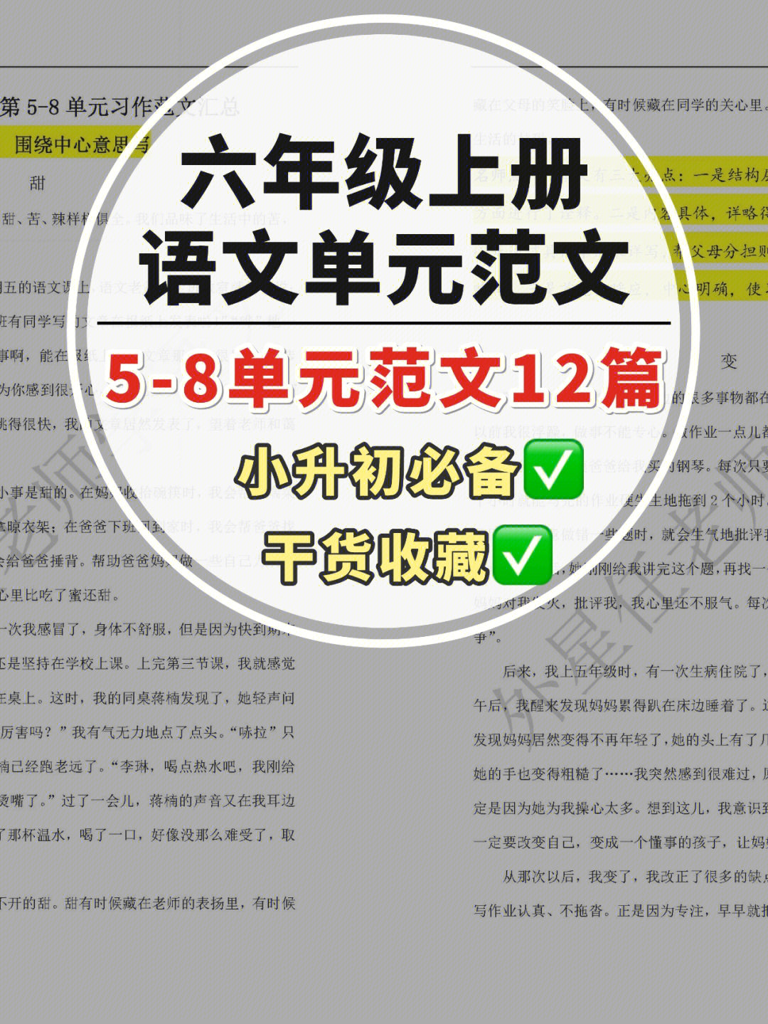 六年级上册05语文58单元习作范文12篇