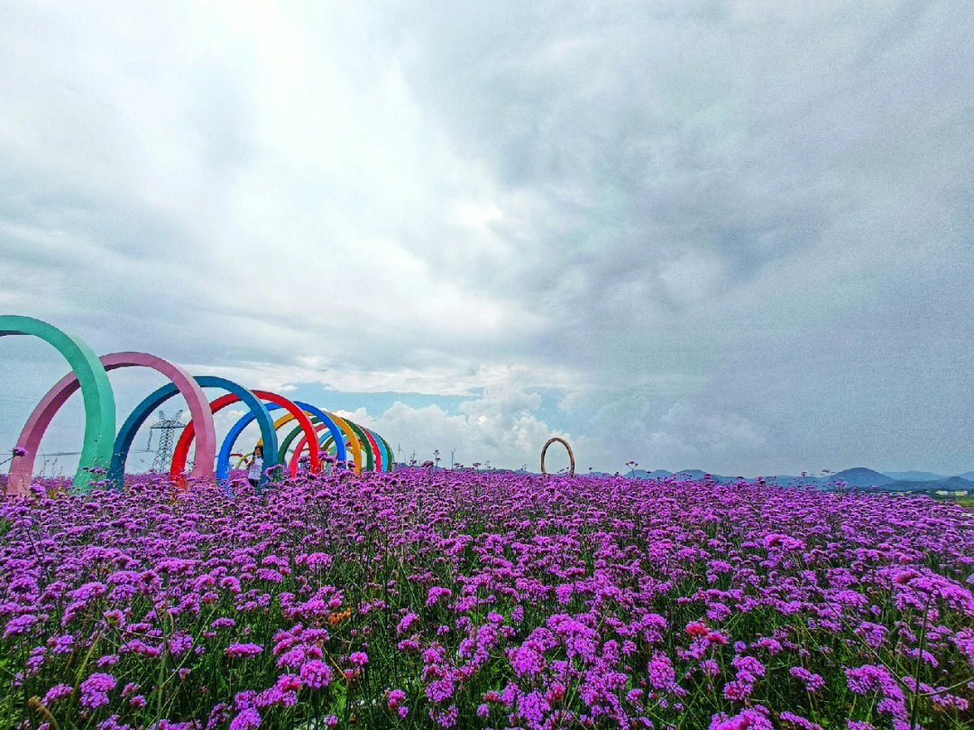 烟台牟平昆嵛山花海图片