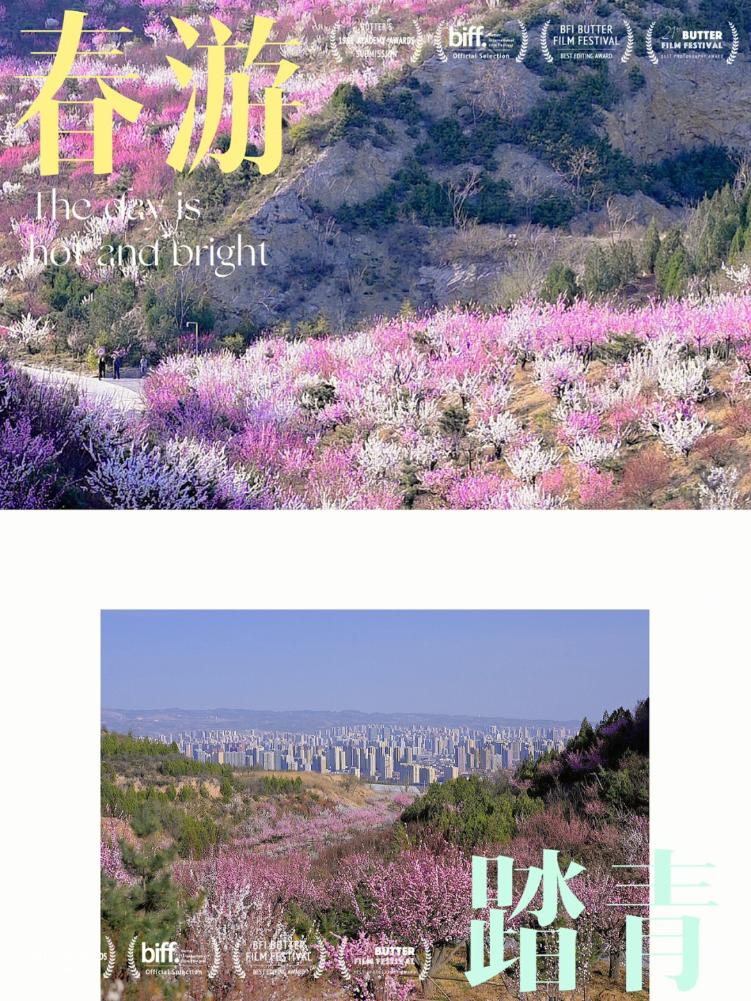 玉泉山樱花节地址图片
