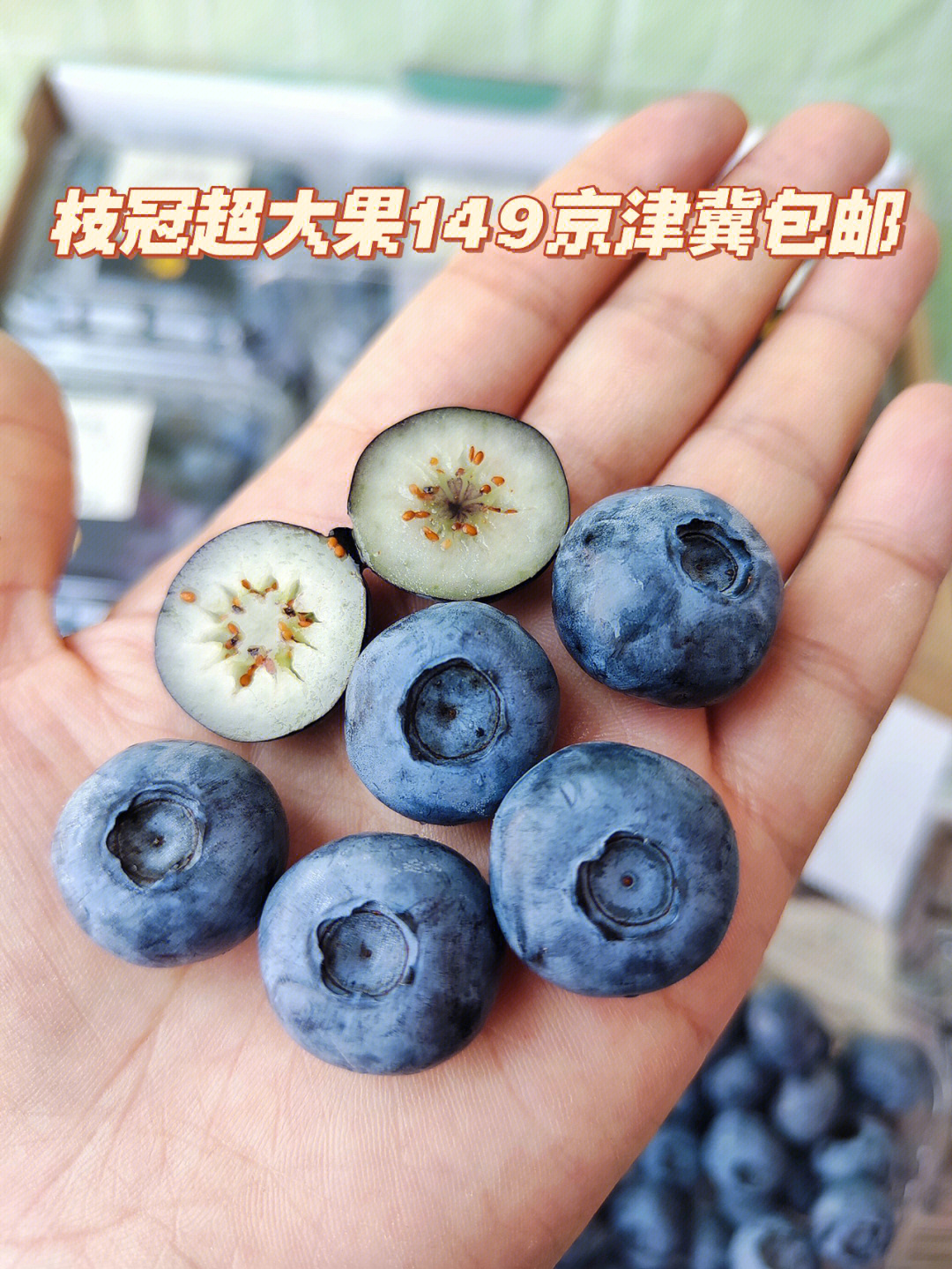 绿宝石蓝莓酸甜度图片