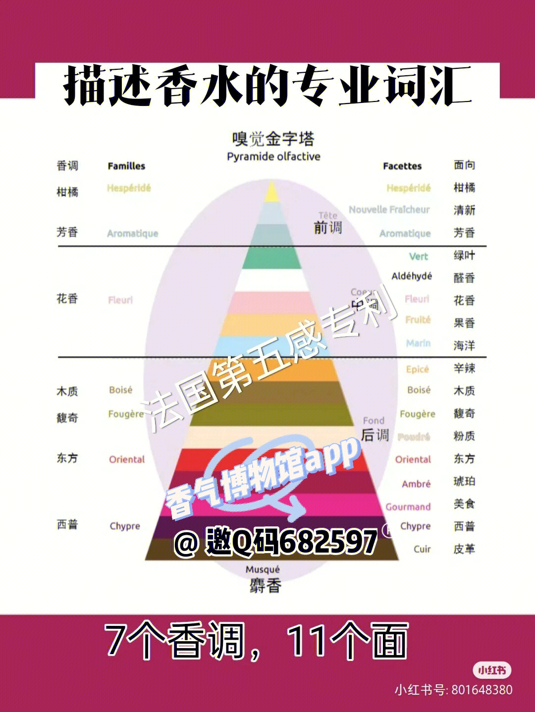 香调分类图图片