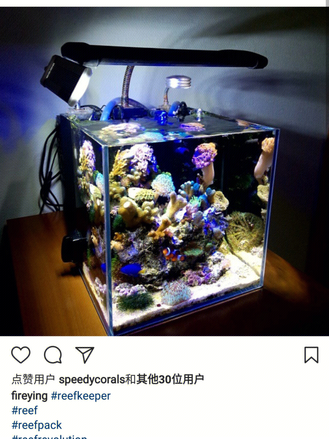 海水缸fot开缸教程步骤图片