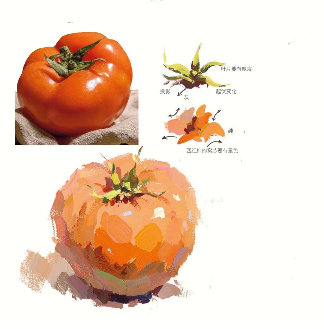 色彩西红柿的画法图片