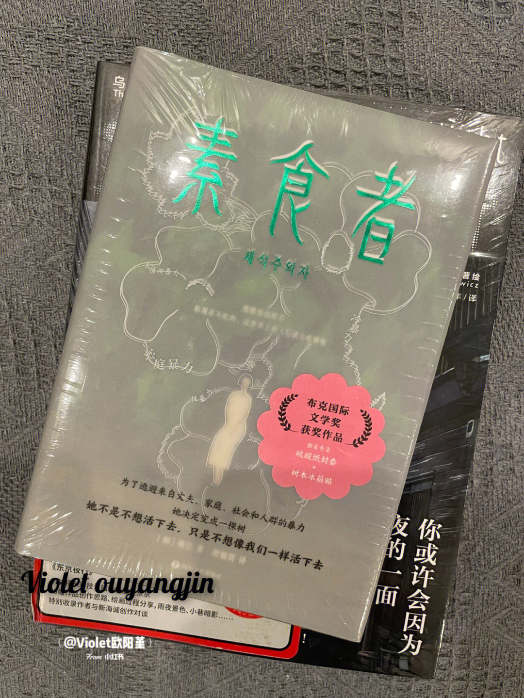 素食者小说电影