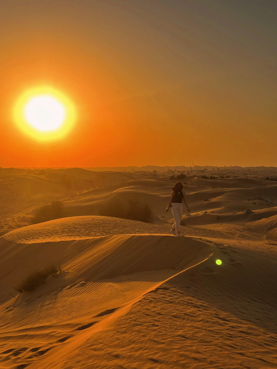 大漠落日圆寂图片