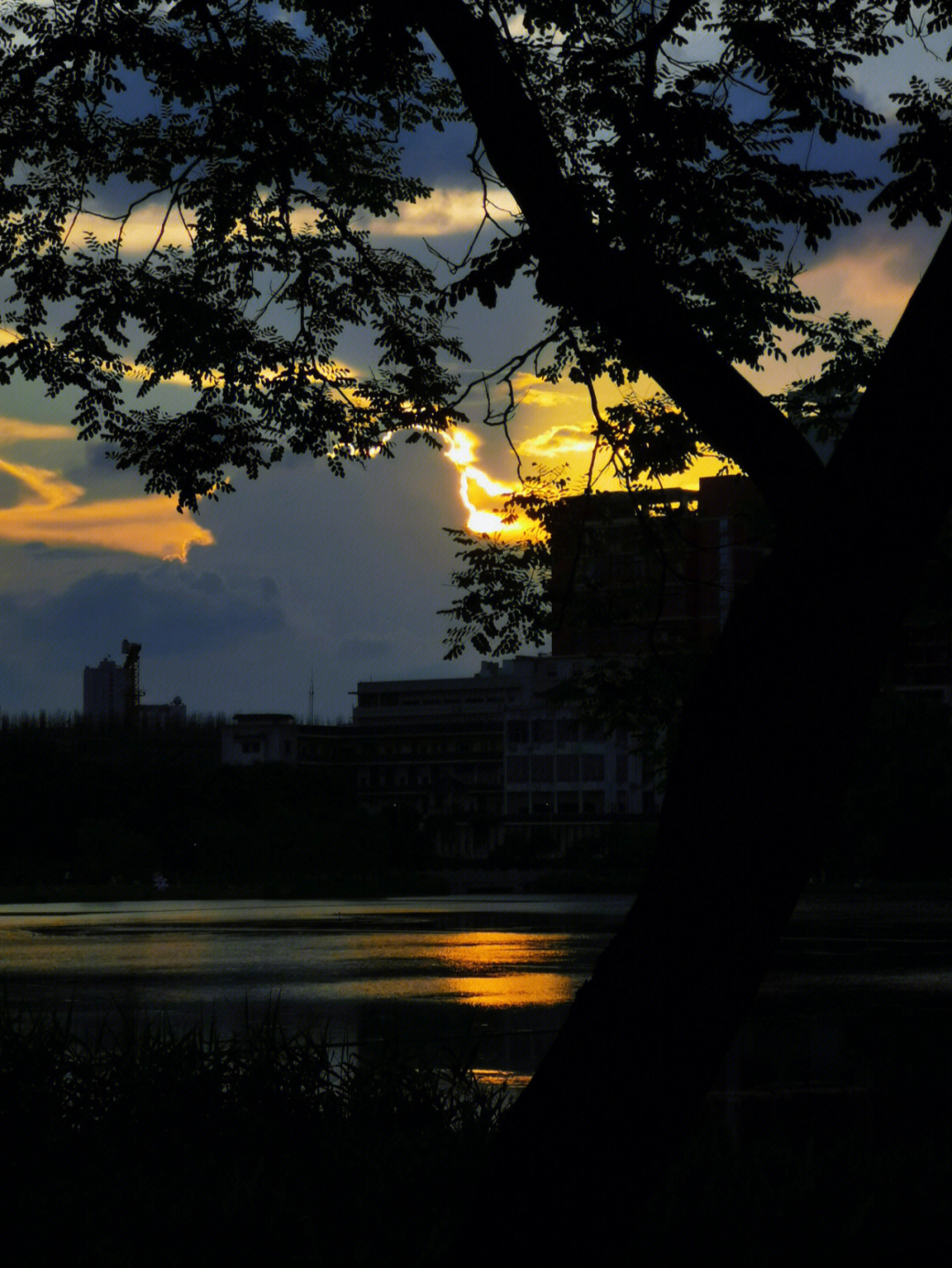 夏天傍晚日落夕阳