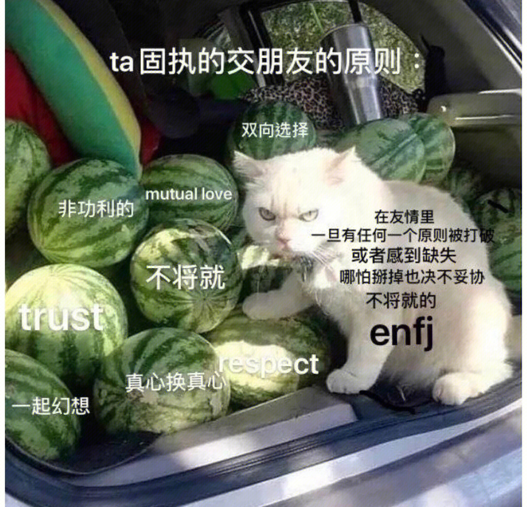 enfj表情包图片