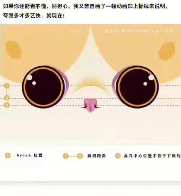 加菲猫品相图解图片