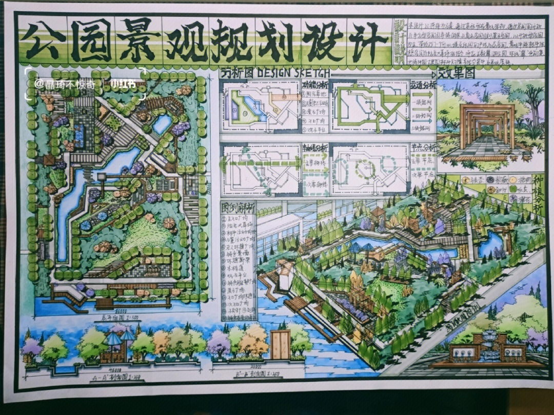 青青草原地图图片