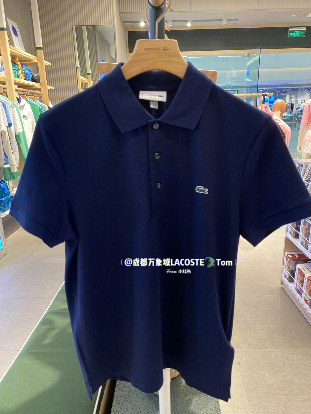 lacoste品牌#lacoste穿搭#鳄鱼lacoste#穿搭#日常穿搭#我