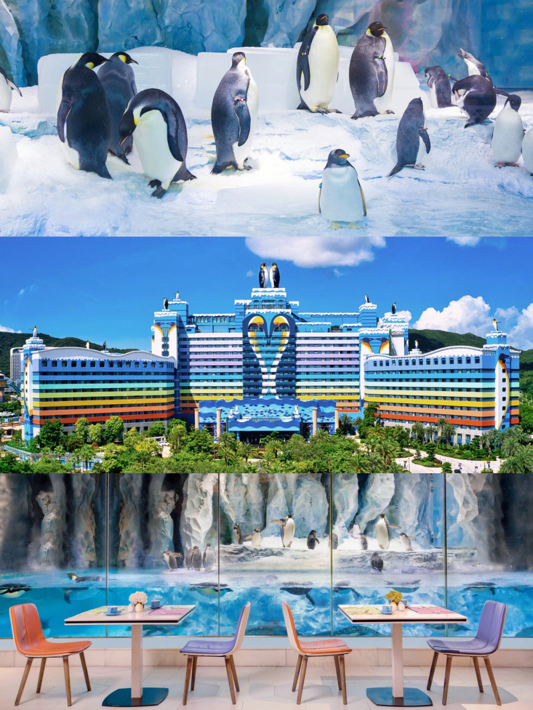 攻略入住珠海长隆企鹅酒店是什么体验