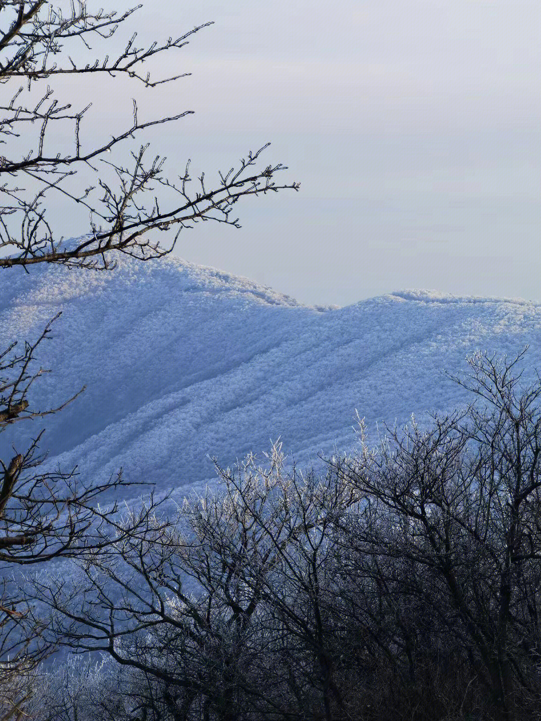 杭州看雪天目山雪景