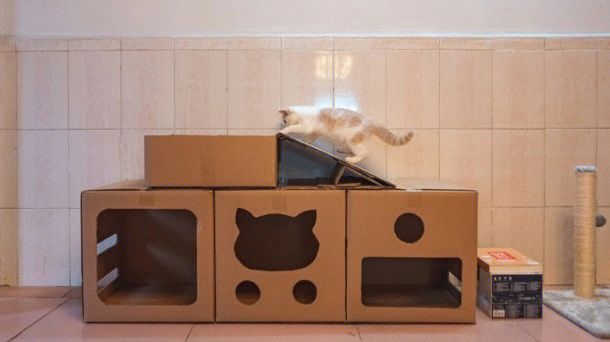 纸箱做猫窝简单图片