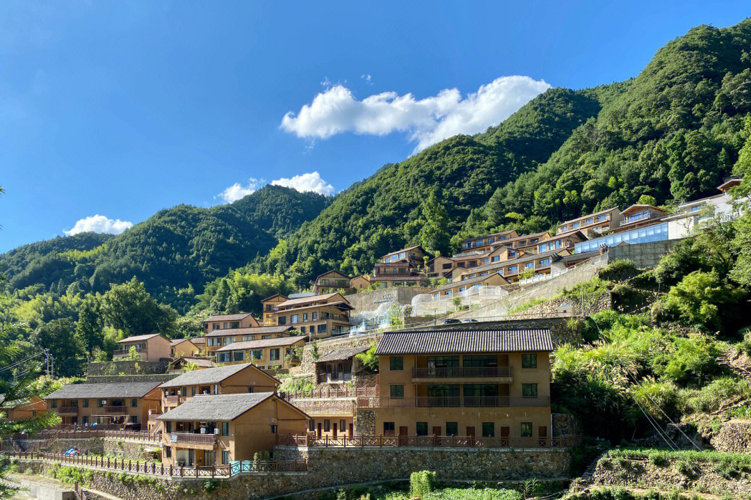 丽水松阳原舍揽树山房江南秘境的栖居