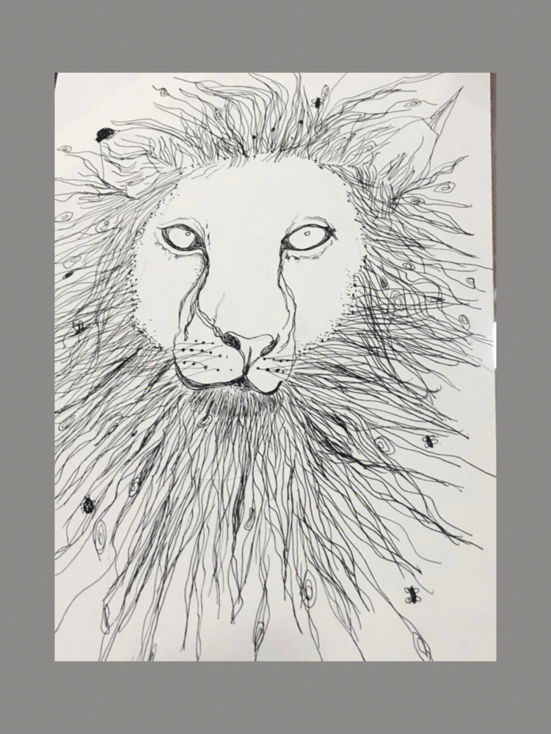 狮子线描画美术教案图片