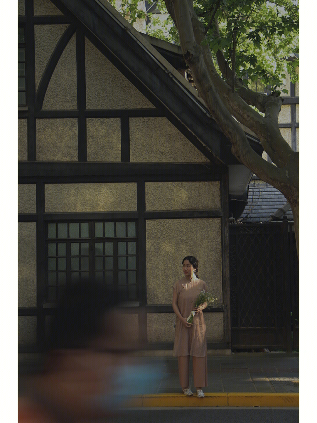 上海女子图鉴 梧桐树图片