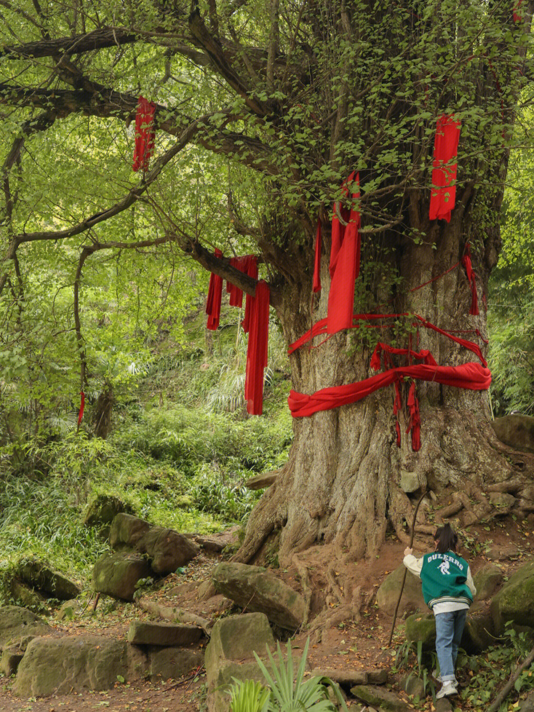 彭州葛仙山风景区门票图片