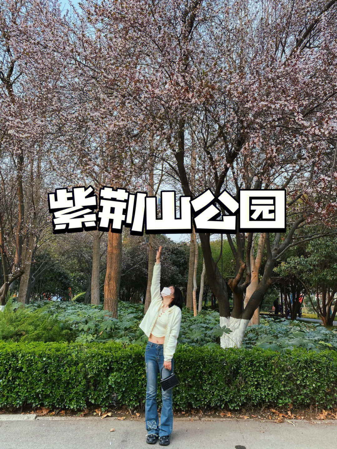 郑州紫荆山公园游览图图片