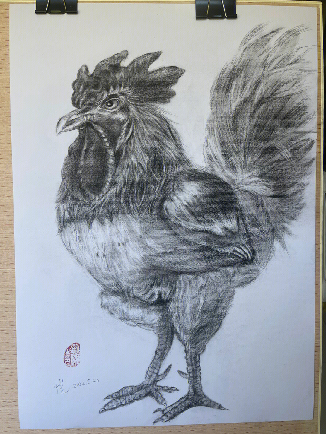 鸡的素描图片简单画法图片
