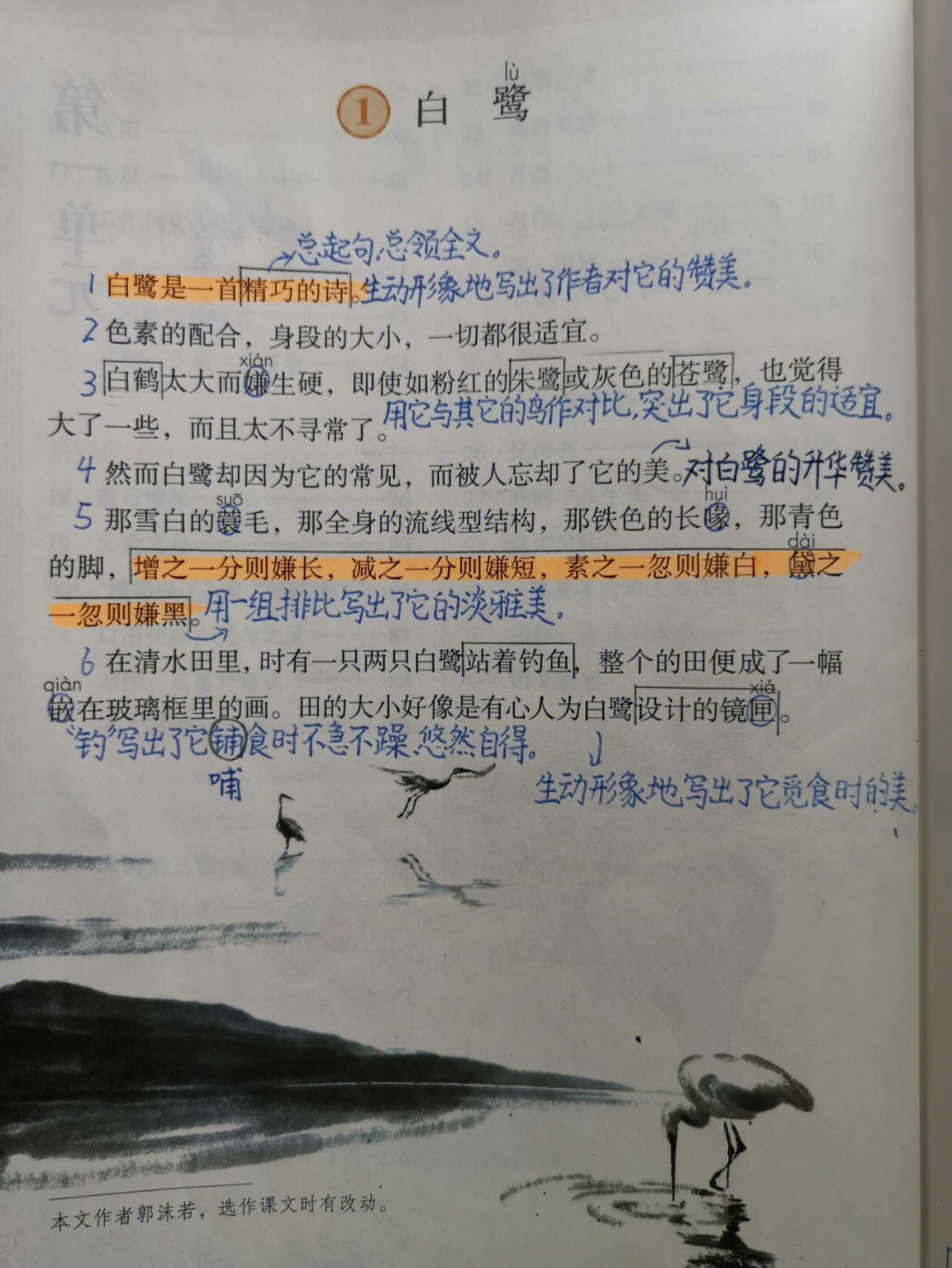 石榴课文原文图片