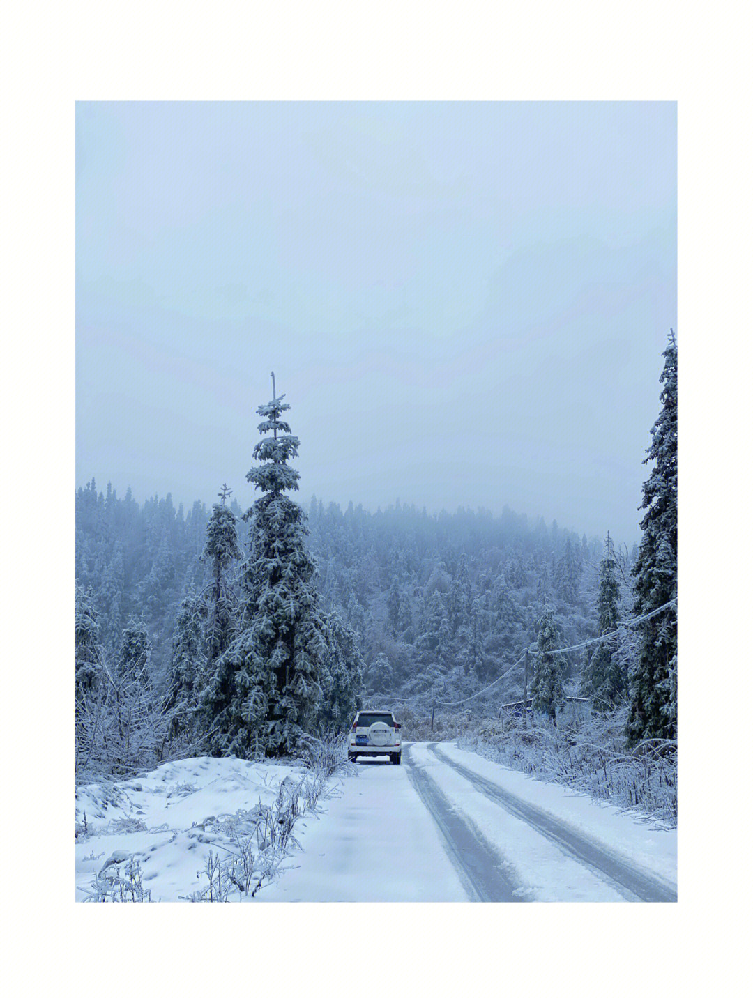 不允许湖南人没见过郴州的雪景