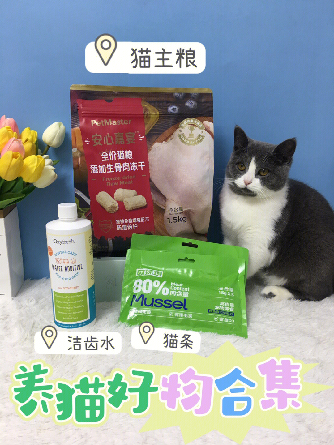 3款养猫好物猫粮猫条猫用品73