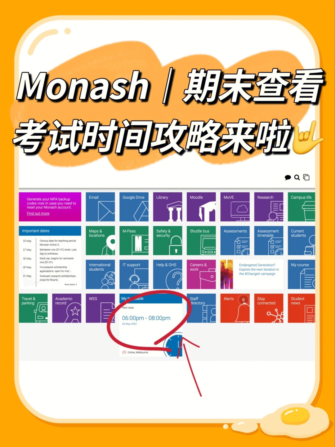 monash表情包图片