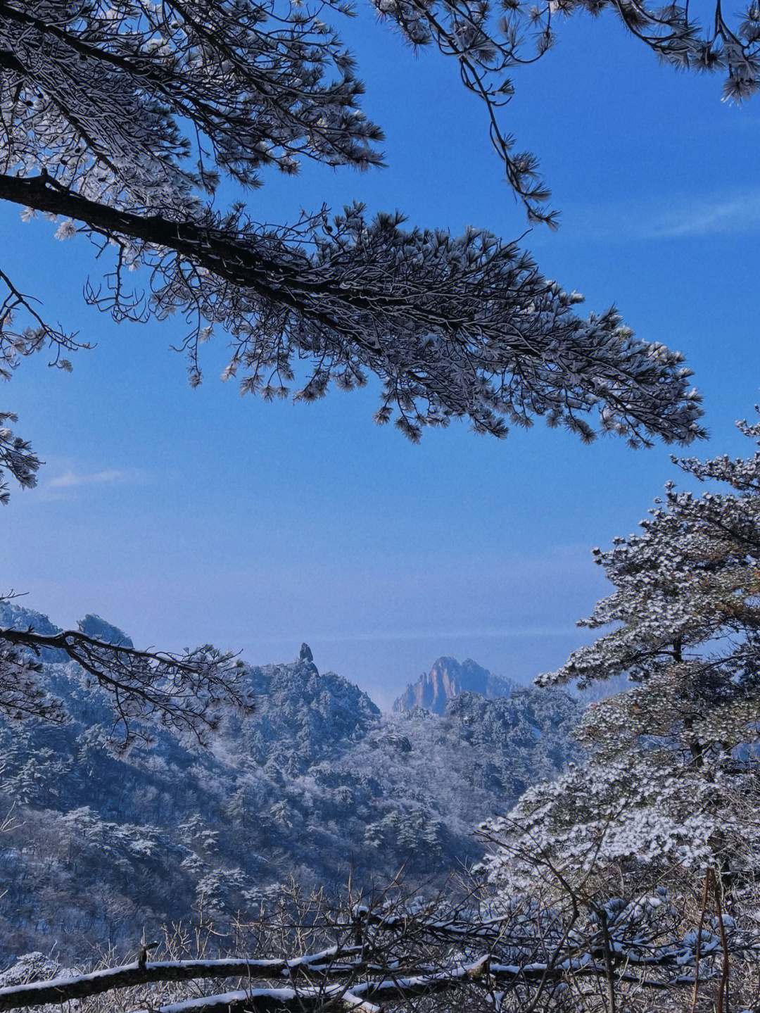 黄山雪景76