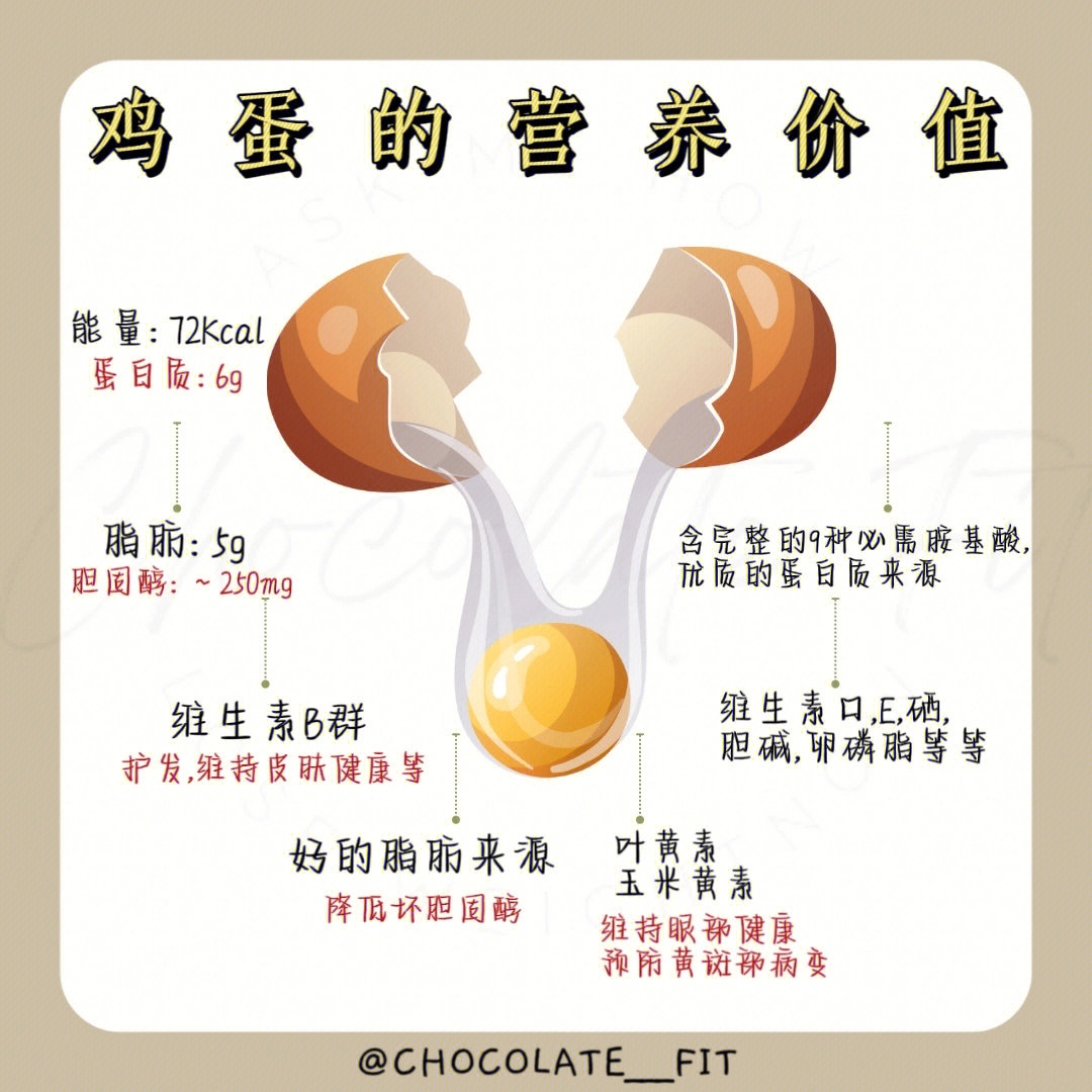 鸡蛋的内部结构作用图片