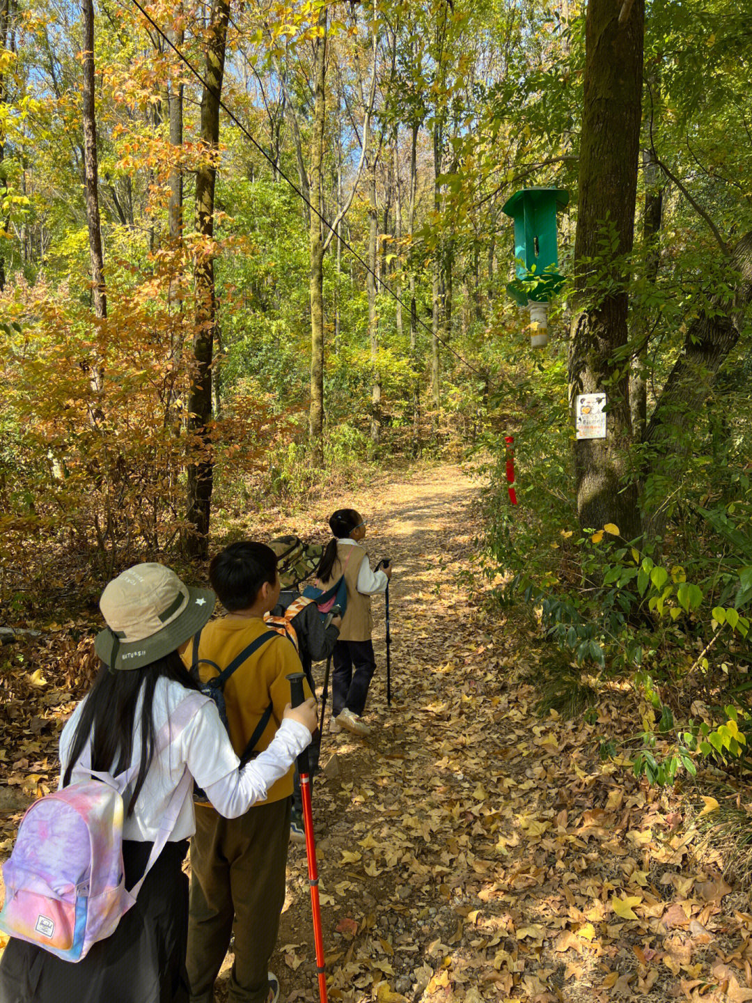 九峰山徒步图片