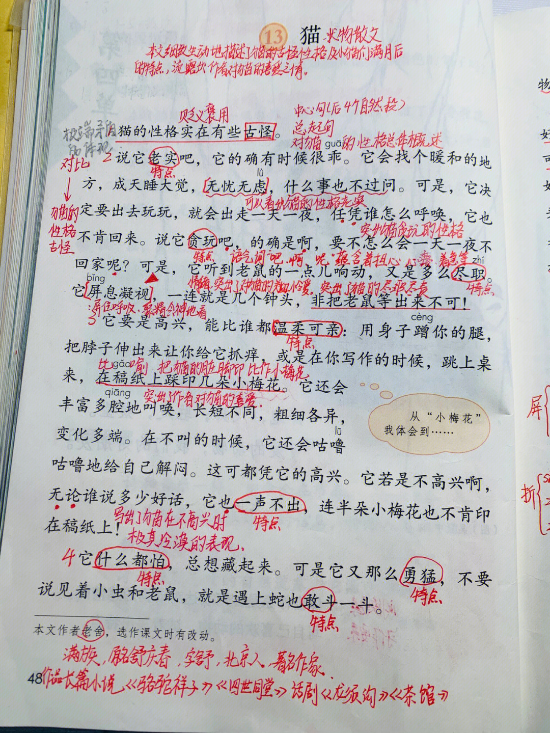 13课猫多音字图片