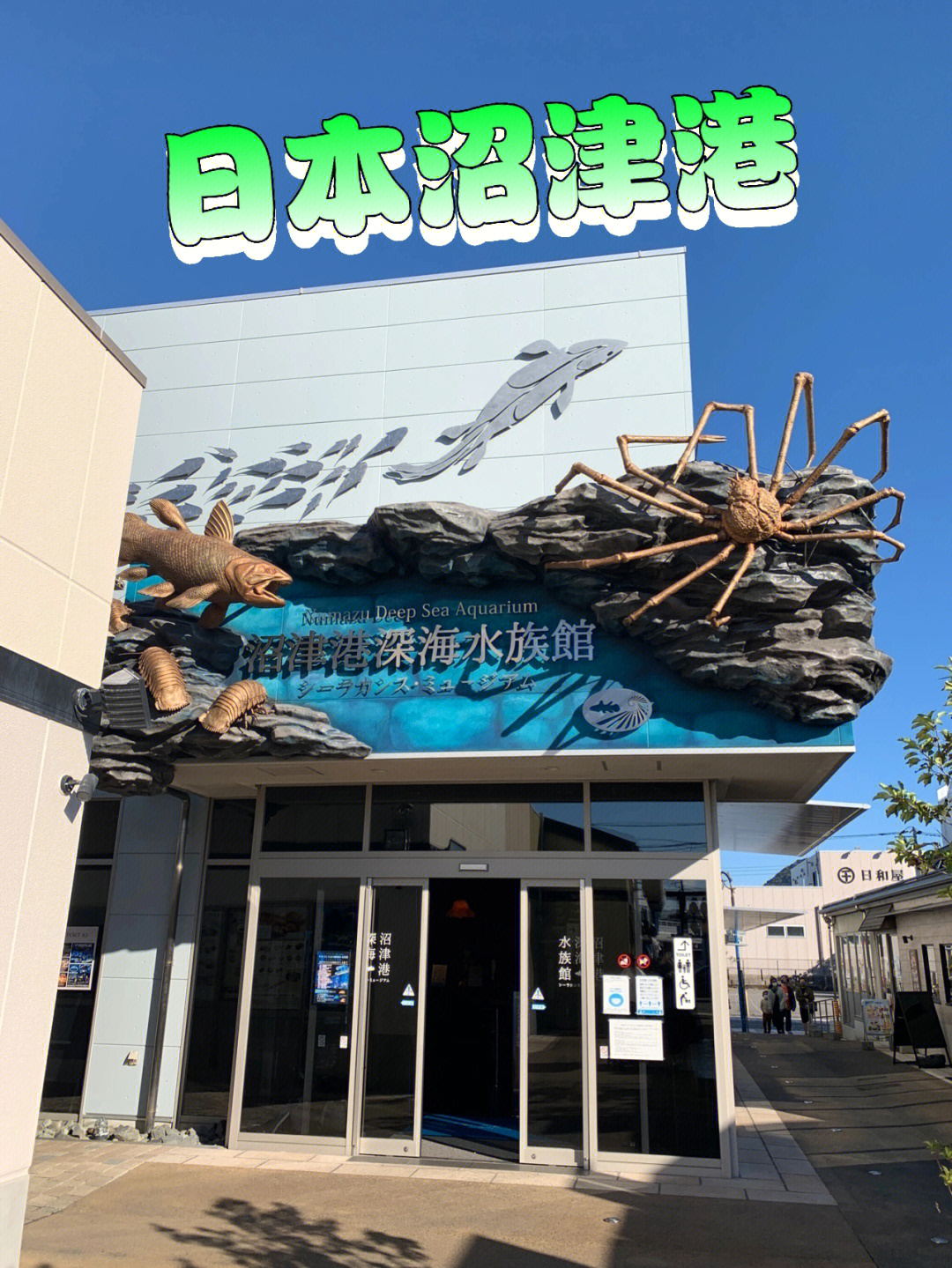 沼津港深海水族馆日本海鲜市场美食分享