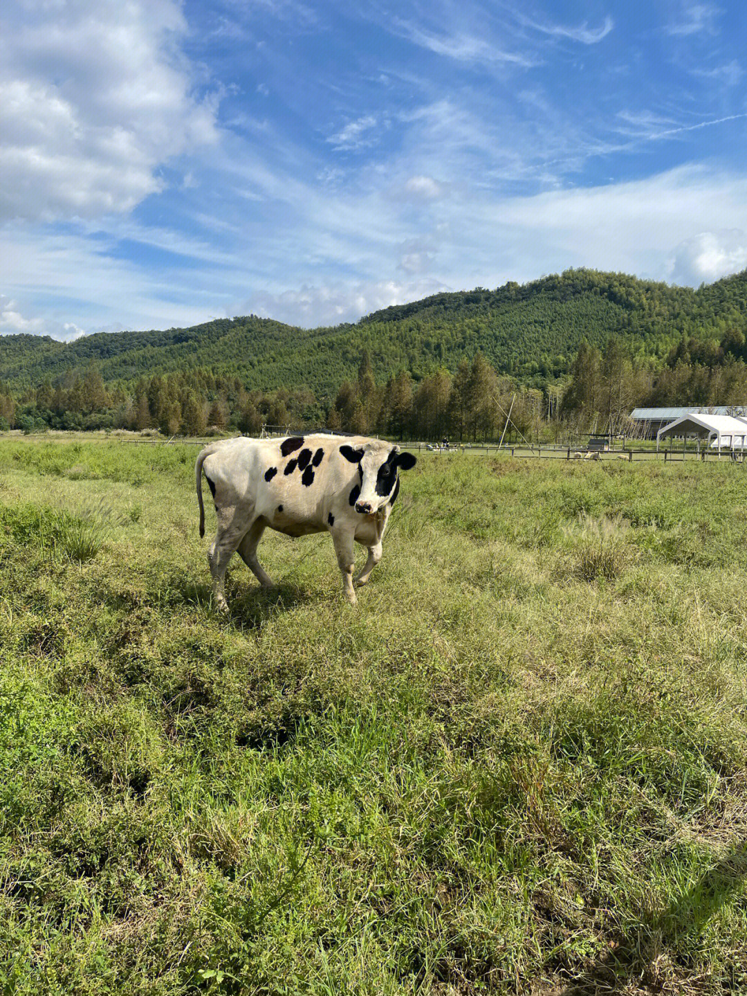 莫干山之旅义远有机农场照片